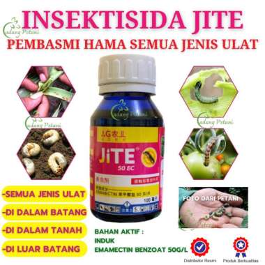 Insektisida Jite Pengendali Hama Ulat Grayak Pada Tanaman Isi 100 ML