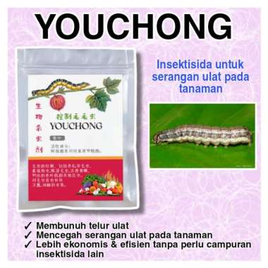 YOU CHONG, Pembasmi Hama penggerek buah pada tomat,Pembasmi Hama Ulat grayak Dan Pengorok aun Pada B