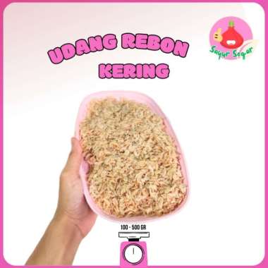 Sayur Segar - Udang Rebon Kecil Kering / Rebon Shrimp 100 gr