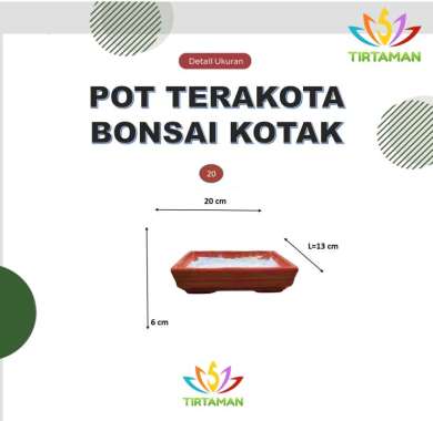 pot terakota bonsai kotak / pot gerabah bonsai kotak / pot bonsai tanah liat kotak [reguler termasuk