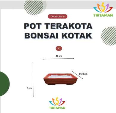 pot terakota bonsai kotak / pot gerabah bonsai kotak / pot bonsai tanah liat kotak [reguler termasuk
