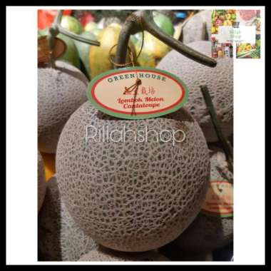 Buah Melon Cantaloupe Jepang/Buah Melon Orange 1700 Gram