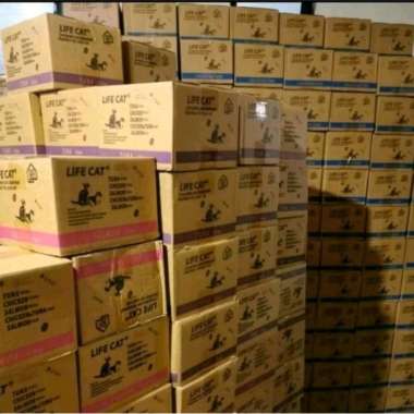 Makan Basah Kucing Life Cat 1dus 24 pouch /24 Sachet Wet Food salmon kitten