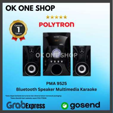 POLYTRON PMA 9525 Bluetooth Speaker Multimedia Karaoke | PMA-9525 B