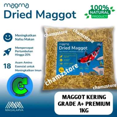 magot maggot kering 1kg magma dried Premium grade A+ pakan ikan koi predator kura kura dll / maggot