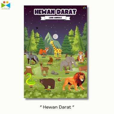 Poster Edukasi Anak / Poster Edukasi Belajar Anak / Poster Edukasi Pendidikan Belajar Anak Hewan Dar