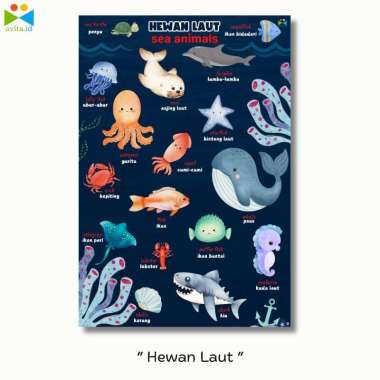 Poster Edukasi Anak / Poster Edukasi Belajar Anak / Poster Edukasi Pendidikan Belajar Anak Hewan Lau