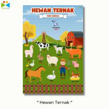 Poster Edukasi Anak / Poster Edukasi Belajar Anak / Poster Edukasi Pendidikan Belajar Anak Hewan Ter