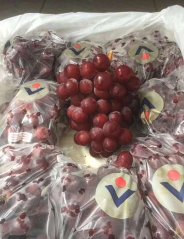 Buah anggur red globe fresh Import 1 dus/box