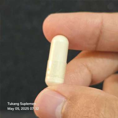 Umpan Mancing Pancing Ikan Fish Bait Capsul Kapsul Essensial Esensial Booster Asam Amino 500