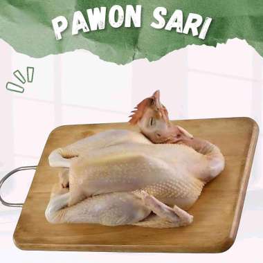 AYAM KAMPUNG SEGAR | 1 EKOR