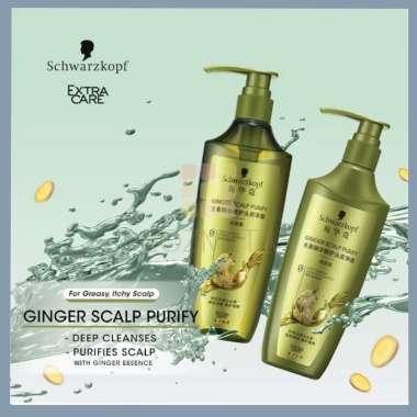 Schwarzkopf Extra Care Ginger Essence Shampoo Conditioner 400ml Shampo Condisioner Kulit Kepala Berm