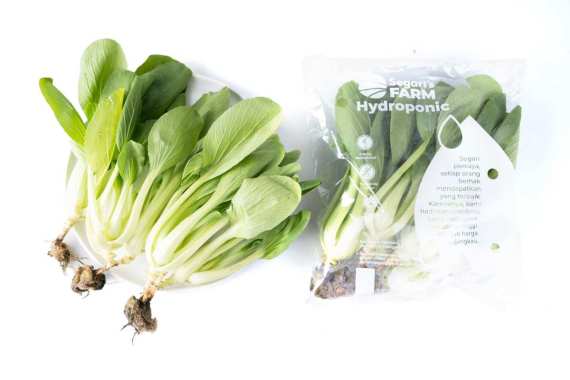 Baby Pakcoy Hidroponik Segari (250 gram / pack)