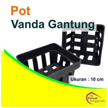 Pot Anggrek Vanda 10 cm Gantung Persegi remaja sedang dewasa Pot Vanda