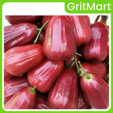 Jambu Air Citra Manis Segar 1 Kg