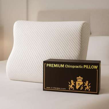 Sleepnight Ergo Premium Chiropractic Pillow by dunlopillo ( Natural Latex Organic )
