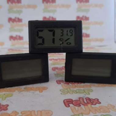 Mini Digital Thermometer & Hygrometer