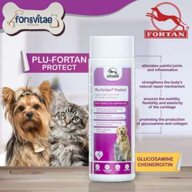 FORTAN Plufortan Protect 350gr - Vitamin Tulang & Sendi