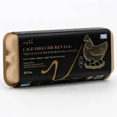 Promo Harga Telur Ayam Negeri 10 pcs - Blibli