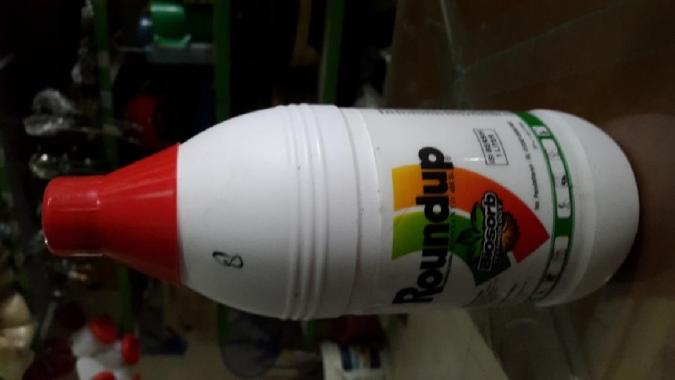 Roundup pembasmi rumput dan ilalang