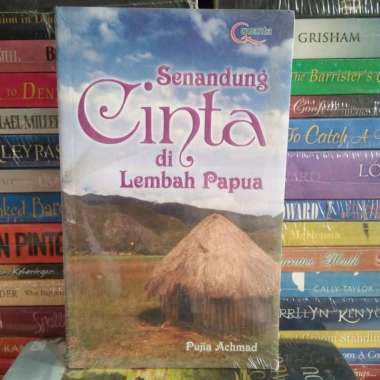 BUKU NOVEL ISLAMI MASIH ADA CINTA DI LEMBAH PAPUA