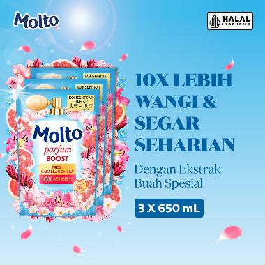 Molto Pelembut & Pewangi Pakaian Softener Konsentrat Parfum Boost Casablanca Lily 650 mL [3 Pcs]