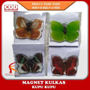 Magnet Kulkas Kupu Kupu Souvenir unik BANTIMURUNG Khas Sulawesi