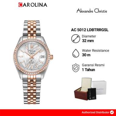 Jam Tangan Wanita Alexandre Christie Classic Steel AC 5012 LDBTRRGSL