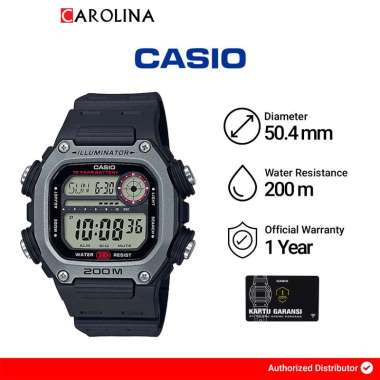 CASIO DW-291H-1A