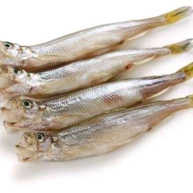 Ikan Capelin Komochi Shisamo Fish Frozen Telur Telor