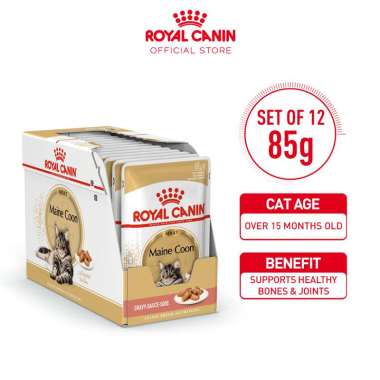 Royal Canin Adult Maine Coon Makanan Kucing Dewasa Maine Coon Wet 12x85gr - 1 Box