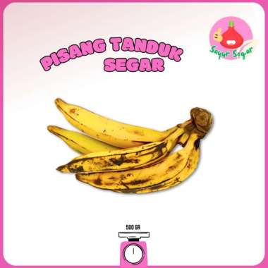 Pisang Tanduk 1 Sisir / Buah Pisang - BawangBagus 1 Sisir