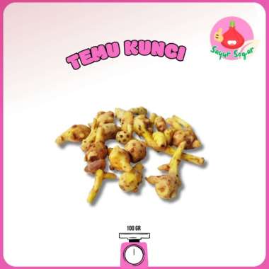 Sayur Segar - Bumbu Temu Kunci/Greater Galangal 250gr