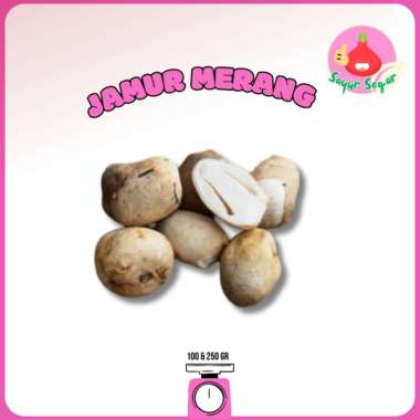 JAMUR MERANG/JAMUR MERANG SEGAR 250 gram