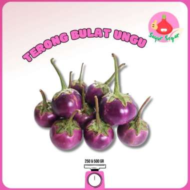 Terong Bulat Ungu/Terong Lalap[250gr&500gr] - Bawangbagus 500 gram