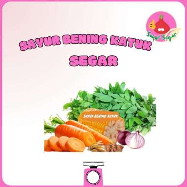 Sayur Sega r- Paket Komplit Sayur Bening Katuk/Katuk Soup Packet 1 Pack