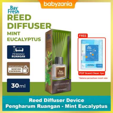 Bayfresh Reed Diffuser Device Pengharum Ruangan - Mint Eucalyptus