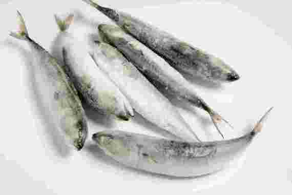 Ikan salem 1kg/ikan salem/ikan laut/seafood