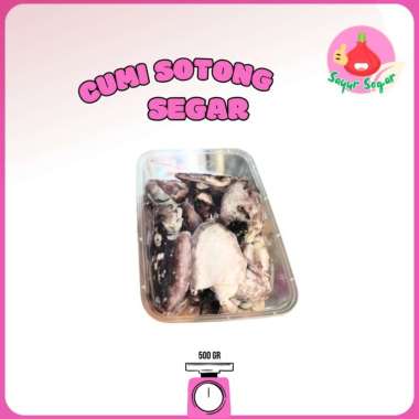 Cumi Sotong 500gr free boxSayur Segar - Cumi Sotong Segar Box 500 gr / Cuttlefish