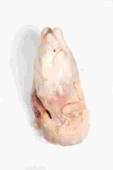 Bebek muda frozen/bebek frozen/Daging Bebek UK 1,0kg