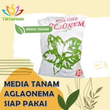 Media Tanam Aglaonema Siap Pakai