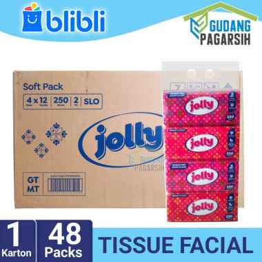 Jolly By Paseo Facial Tissue 250 Sheets - 2 Ply [48 pcs - Ball/Karton]