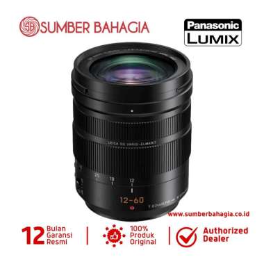 Sumber Bahagia - Panasonic Lumix Leica 12-60mm F/2.8-4.0 ASPH Lensa Kamera Black