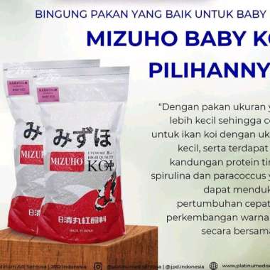 Mizuho HG Baby koi floating @ 2 kg