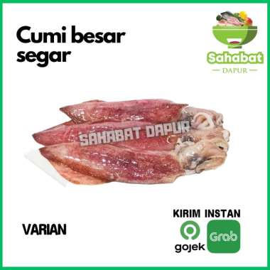 Cumi Besar Segar - Sahabatdapur 1kg