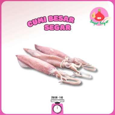 Sayur Segar - Cumi Besar Segar / Fresh Squid 500gr
