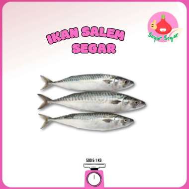 Ikan Kembung Salem - Ikan Segar 500gr