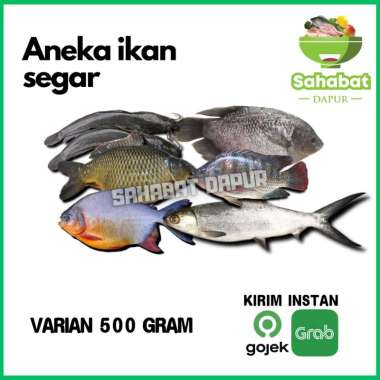 Sahabatdapur Ikan bandeng/ikan bawal/Ikan gurame/Ikan lele 500gr Ikan Lele