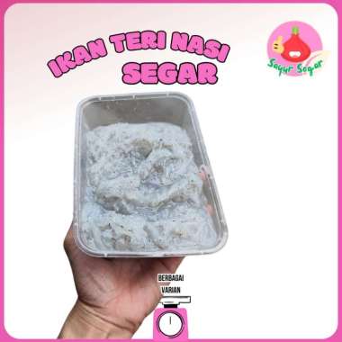 Ikan Teri Nasi Basah Segar 500g