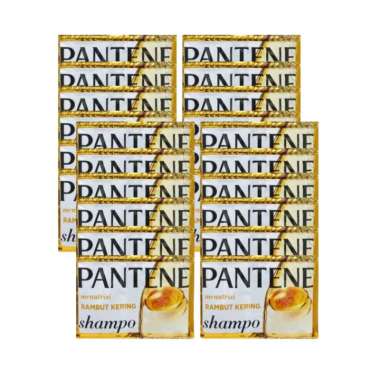 Pantene Shampoo